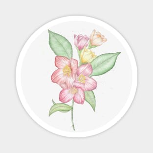 Spring flowers Magnet